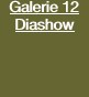 Galerie 12